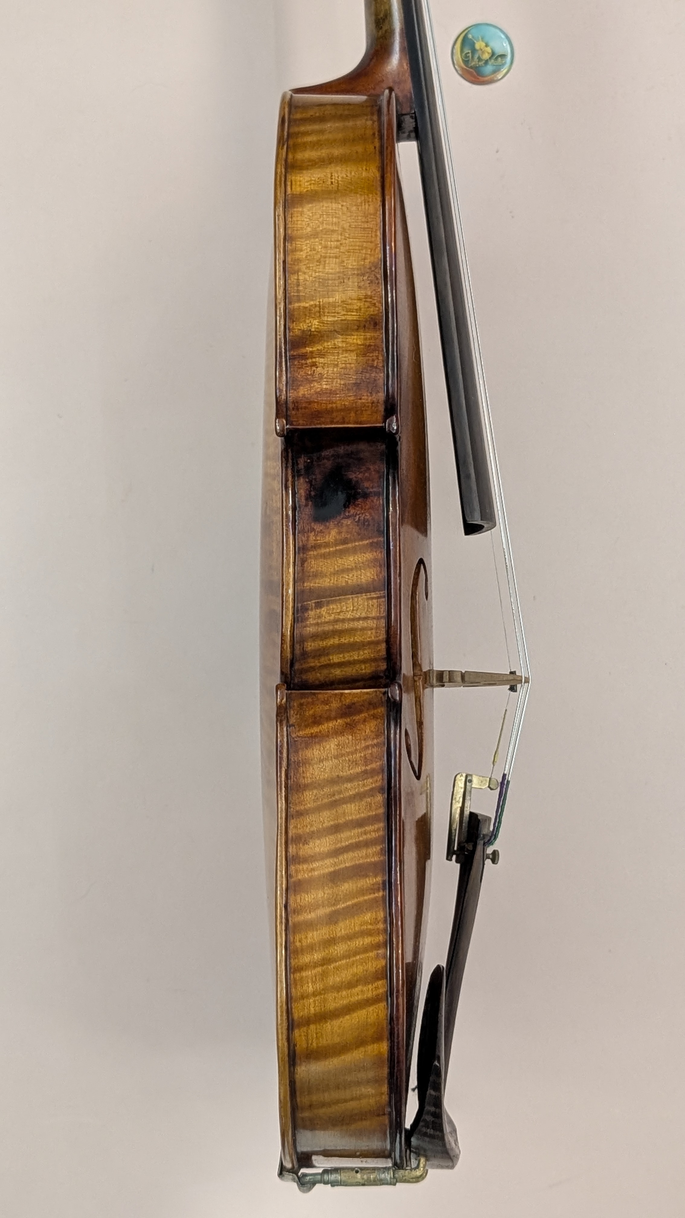 PXL_20260904_143344482.PORTRAIT.ORIGINAL.jpg